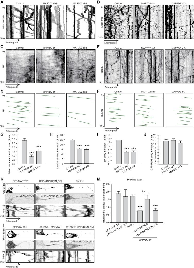https://cdn.ncbi.nlm.nih.gov/pmc/blobs/5400/6381606/875593d17018/gr5.jpg