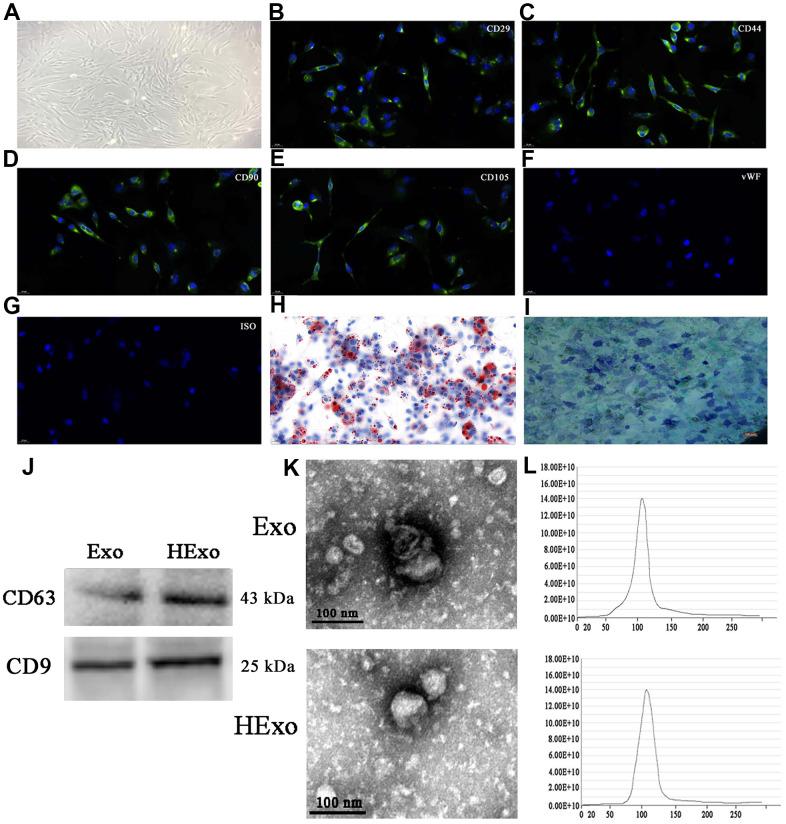 https://cdn.ncbi.nlm.nih.gov/pmc/blobs/5400/9037259/17181812953c/aging-14-203989-g001.jpg