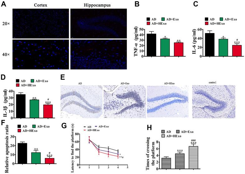 https://cdn.ncbi.nlm.nih.gov/pmc/blobs/5400/9037259/f28cf323ea0b/aging-14-203989-g002.jpg