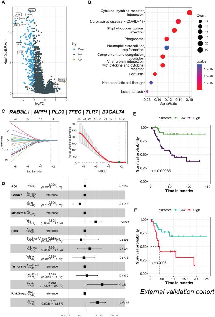 https://cdn.ncbi.nlm.nih.gov/pmc/blobs/5401/10191230/3474a358613e/fonc-13-1200203-g007.jpg