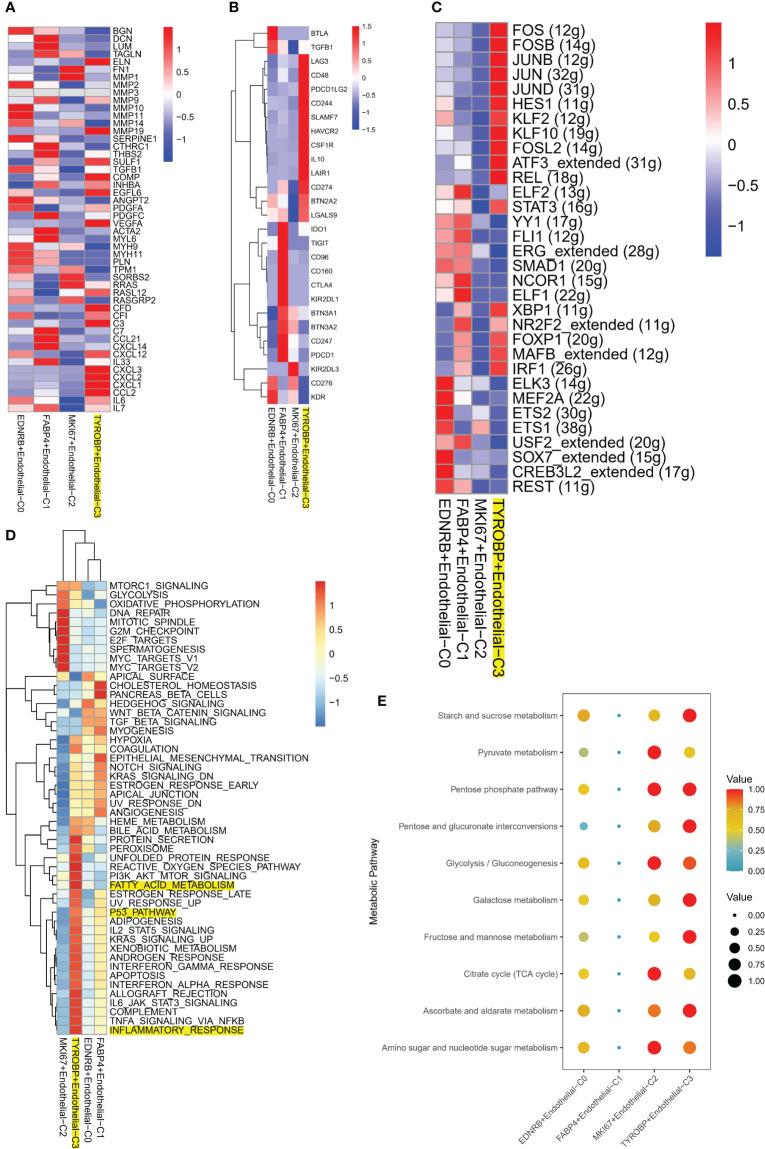 https://cdn.ncbi.nlm.nih.gov/pmc/blobs/5401/10191230/3a49e8aadb03/fonc-13-1200203-g004.jpg