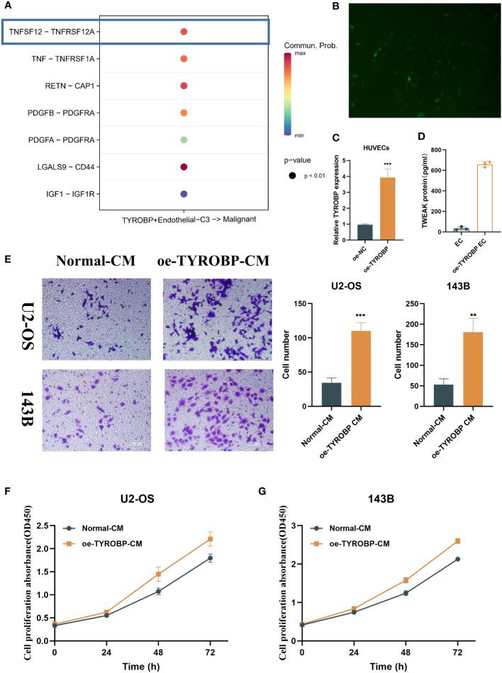 https://cdn.ncbi.nlm.nih.gov/pmc/blobs/5401/10191230/fa8003b7d453/fonc-13-1200203-g003.jpg