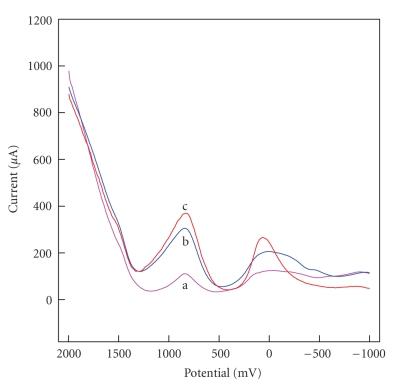 https://cdn.ncbi.nlm.nih.gov/pmc/blobs/5401/2909721/857d4e2c9326/IJAC2010-419439.008.jpg