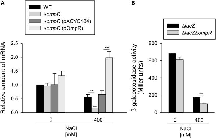 https://cdn.ncbi.nlm.nih.gov/pmc/blobs/5403/6194325/b4c7fa29eaaf/fmicb-09-02405-g002.jpg