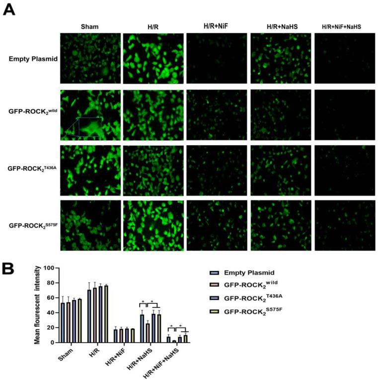 https://cdn.ncbi.nlm.nih.gov/pmc/blobs/5404/9966024/0988cdcb3917/pharmaceuticals-16-00218-g008.jpg