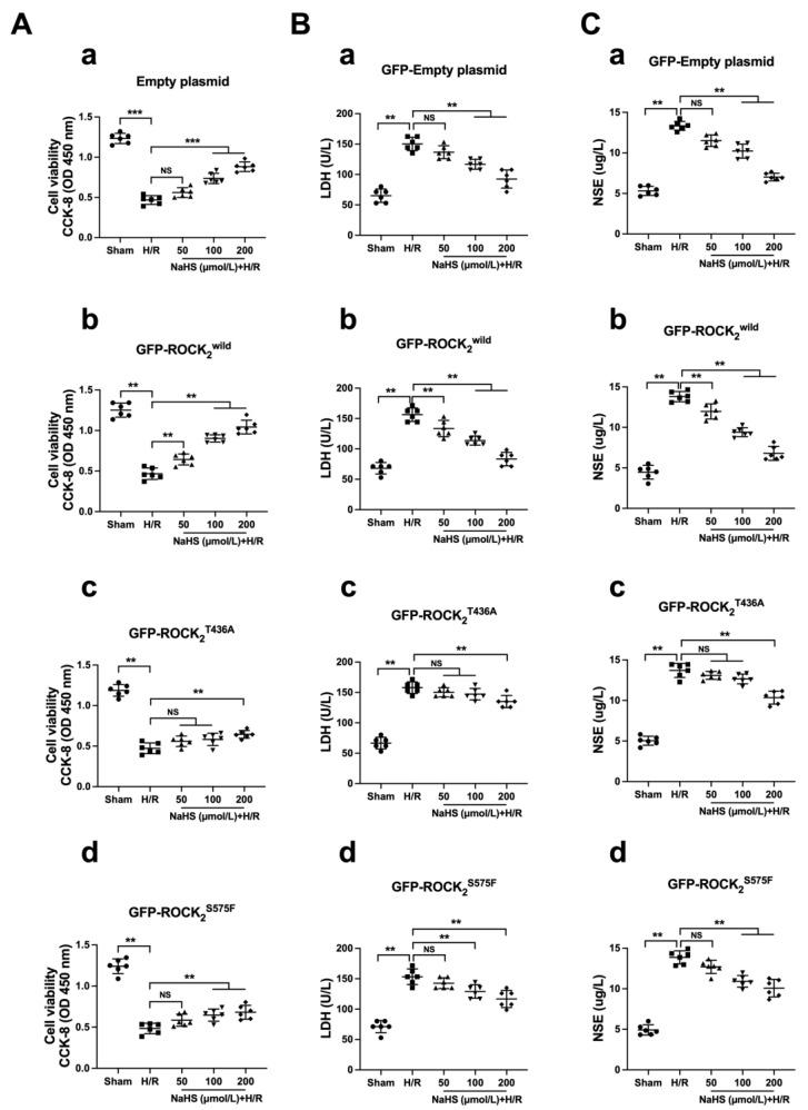 https://cdn.ncbi.nlm.nih.gov/pmc/blobs/5404/9966024/8c0e078b96be/pharmaceuticals-16-00218-g006.jpg