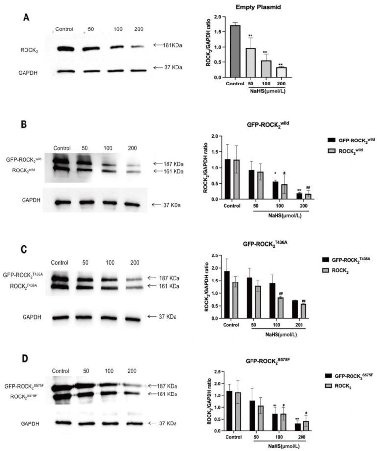 https://cdn.ncbi.nlm.nih.gov/pmc/blobs/5404/9966024/a34420e0ae70/pharmaceuticals-16-00218-g004.jpg