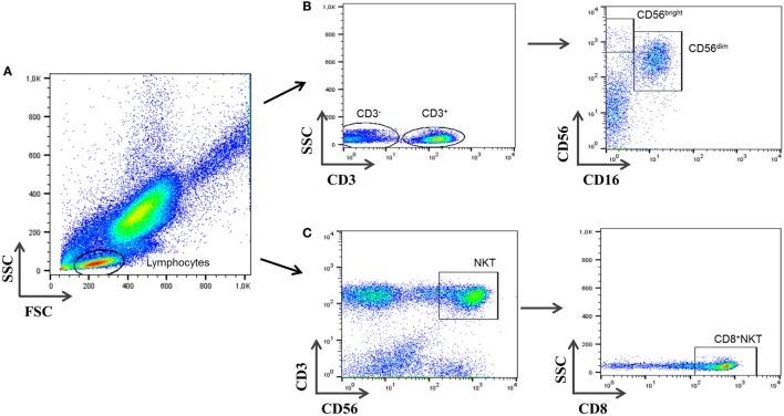 https://cdn.ncbi.nlm.nih.gov/pmc/blobs/5405/5322280/dc9ace6964a4/fimmu-08-00196-g001.jpg