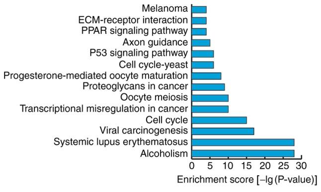 https://cdn.ncbi.nlm.nih.gov/pmc/blobs/5405/6297760/19df4e2bbc00/MMR-19-01-0103-g12.jpg