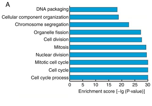 https://cdn.ncbi.nlm.nih.gov/pmc/blobs/5405/6297760/25a09168069d/MMR-19-01-0103-g09.jpg