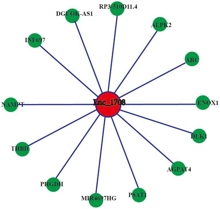 https://cdn.ncbi.nlm.nih.gov/pmc/blobs/5405/6297760/3670910c5ce8/MMR-19-01-0103-g16.jpg