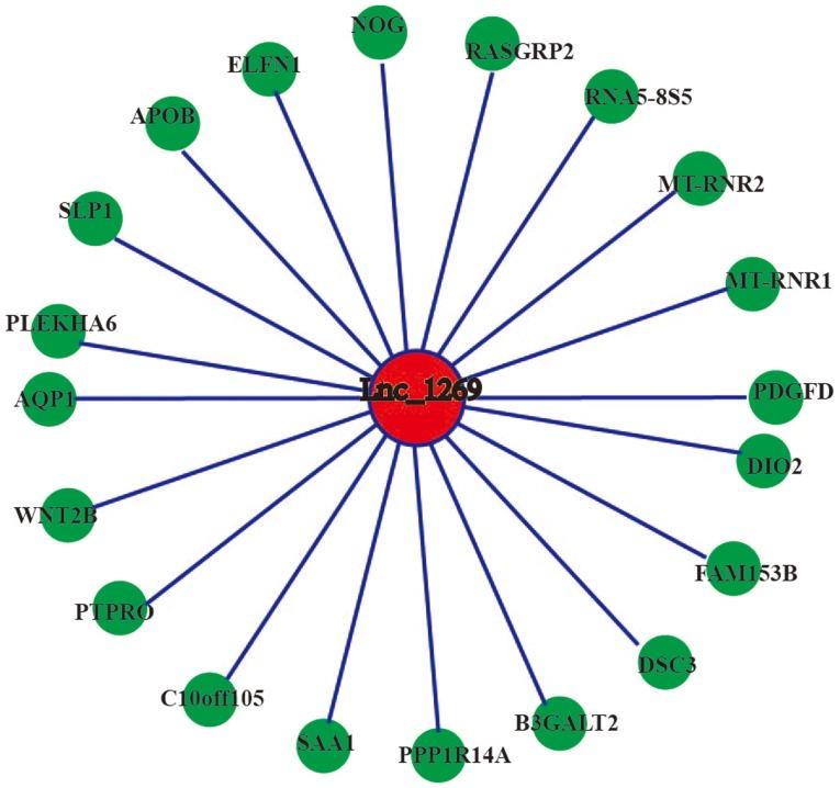 https://cdn.ncbi.nlm.nih.gov/pmc/blobs/5405/6297760/5f6ec30bf1b2/MMR-19-01-0103-g14.jpg