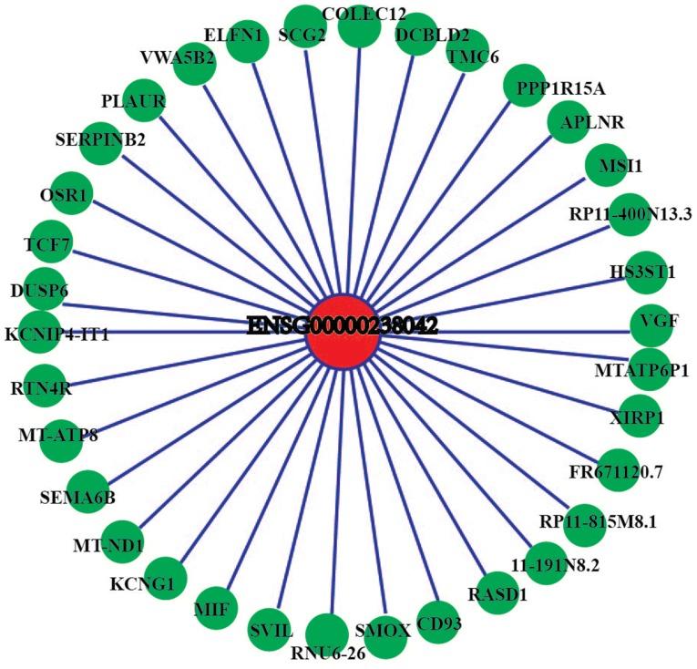 https://cdn.ncbi.nlm.nih.gov/pmc/blobs/5405/6297760/a9db1eaf8e46/MMR-19-01-0103-g13.jpg