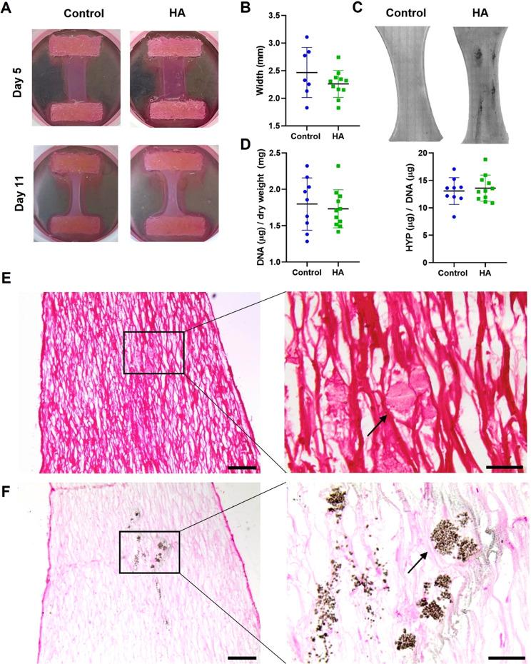 https://cdn.ncbi.nlm.nih.gov/pmc/blobs/5408/10541963/1c72cf3c78c7/ABPID9-000007-036120_1-g002.jpg
