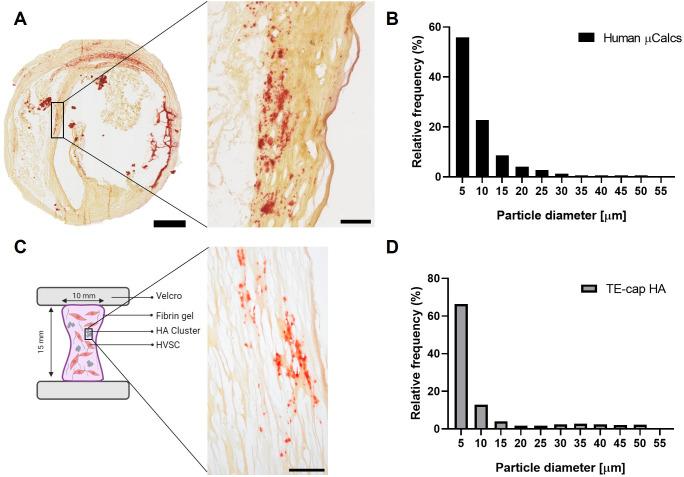 https://cdn.ncbi.nlm.nih.gov/pmc/blobs/5408/10541963/b5b4afa1b09e/ABPID9-000007-036120_1-g001.jpg