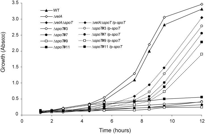https://cdn.ncbi.nlm.nih.gov/pmc/blobs/5408/4154780/1eed8958ce17/pone.0106938.g006.jpg