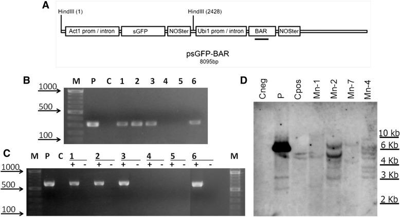 https://cdn.ncbi.nlm.nih.gov/pmc/blobs/5408/6199808/6969fe1f0202/12896_2018_477_Fig3_HTML.jpg