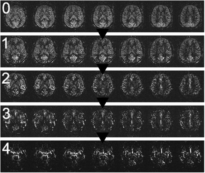 https://cdn.ncbi.nlm.nih.gov/pmc/blobs/5409/10791566/268a5ae02122/gr6.jpg