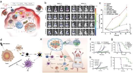 https://cdn.ncbi.nlm.nih.gov/pmc/blobs/5409/9561875/6f8c2dc9c1b2/ADVS-9-2203921-g008.jpg
