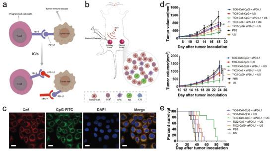 https://cdn.ncbi.nlm.nih.gov/pmc/blobs/5409/9561875/d37697dac5da/ADVS-9-2203921-g002.jpg