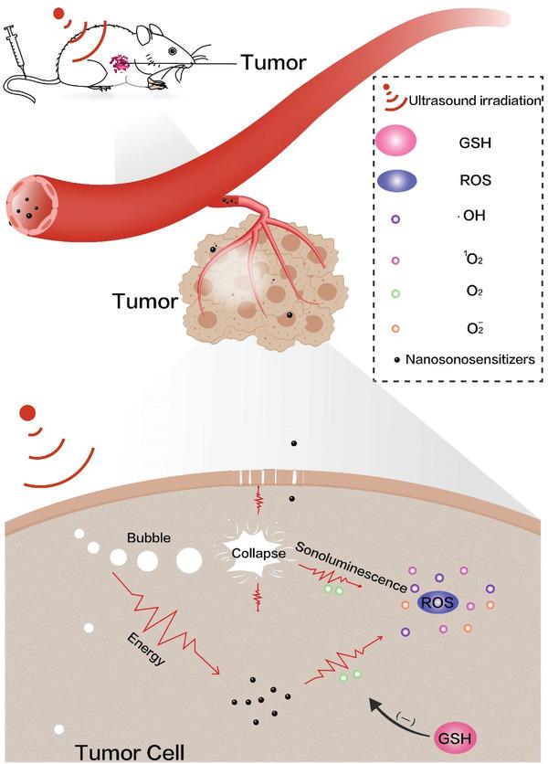 https://cdn.ncbi.nlm.nih.gov/pmc/blobs/5409/9561875/e03099e594d7/ADVS-9-2203921-g015.jpg