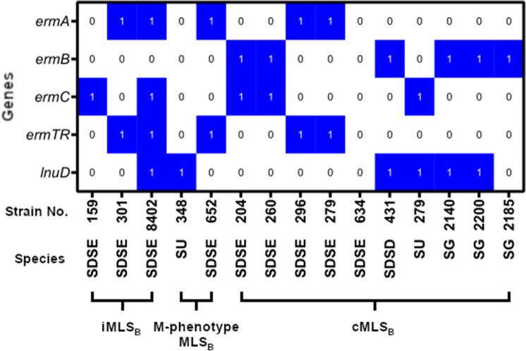 https://cdn.ncbi.nlm.nih.gov/pmc/blobs/540c/10232595/4434c5b5d27f/284_2023_3337_Fig1_HTML.jpg