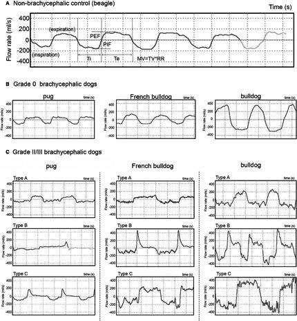 https://cdn.ncbi.nlm.nih.gov/pmc/blobs/540c/4913582/b735795cfb1a/JVIM-30-853-g003.jpg