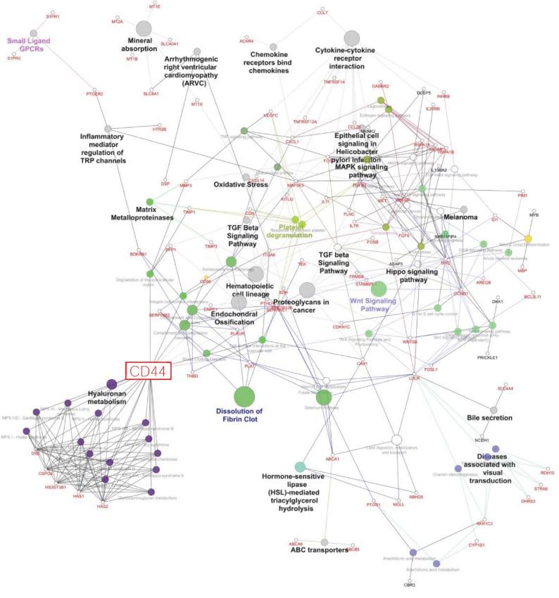 https://cdn.ncbi.nlm.nih.gov/pmc/blobs/540c/7044478/7c5e71141f1e/SCI2020-5045124.003.jpg