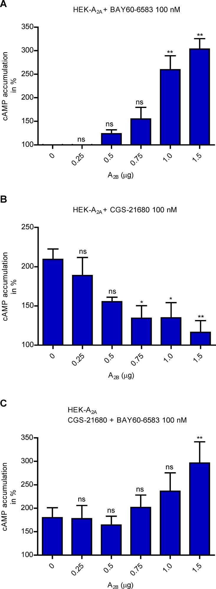 https://cdn.ncbi.nlm.nih.gov/pmc/blobs/540d/5862601/d38f841c3dfc/oncotarget-09-13593-g006.jpg