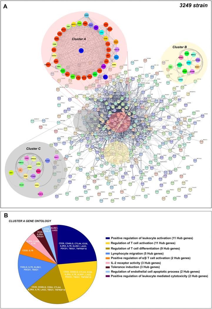 https://cdn.ncbi.nlm.nih.gov/pmc/blobs/540d/8826917/8a892222a539/jvi.01140-21-f007.jpg