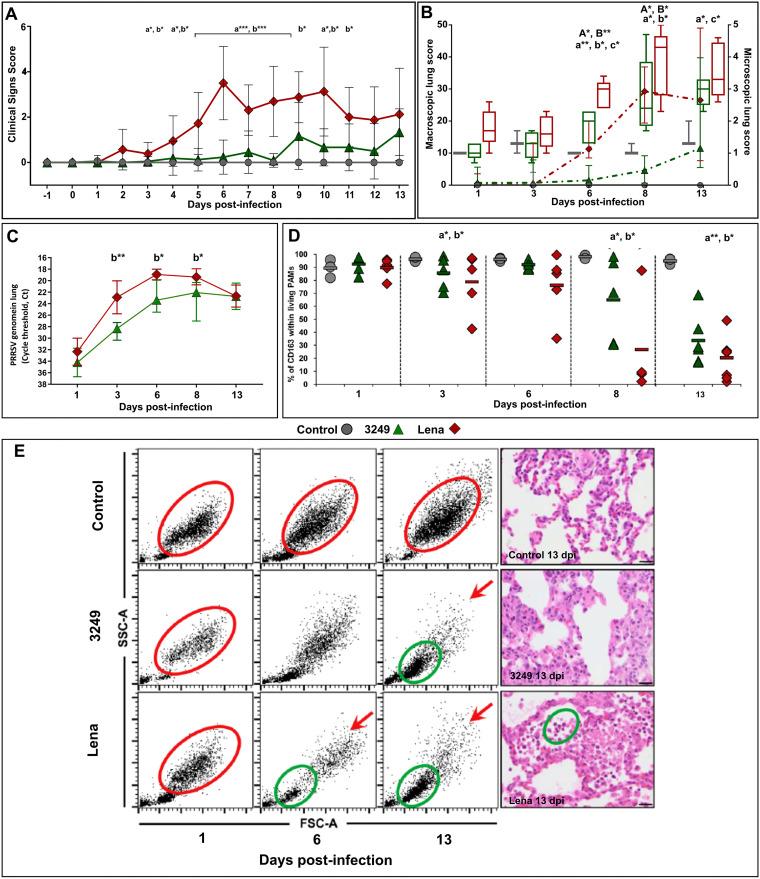 https://cdn.ncbi.nlm.nih.gov/pmc/blobs/540d/8826917/904f622f47ff/jvi.01140-21-f001.jpg