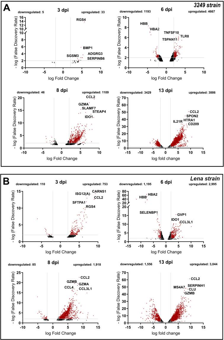 https://cdn.ncbi.nlm.nih.gov/pmc/blobs/540d/8826917/d6aa9cdc06d7/jvi.01140-21-f003.jpg