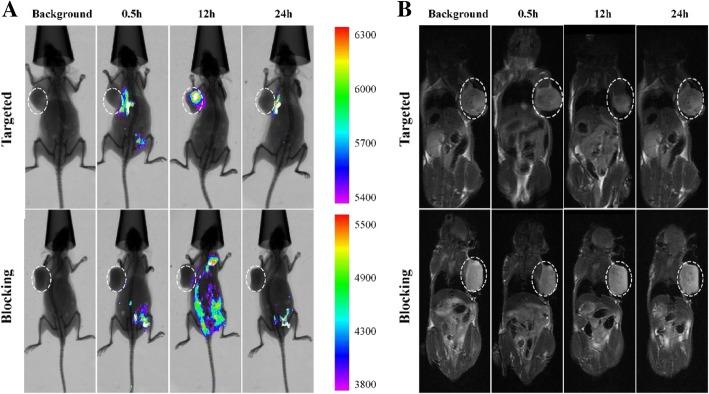 https://cdn.ncbi.nlm.nih.gov/pmc/blobs/540e/6616609/6b561df11876/11671_2019_3049_Fig5_HTML.jpg