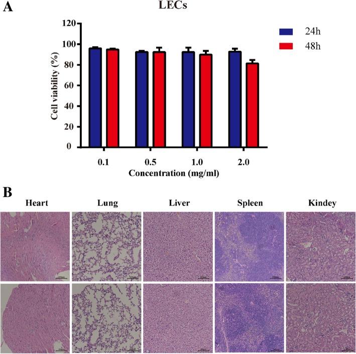 https://cdn.ncbi.nlm.nih.gov/pmc/blobs/540e/6616609/75a6f2bb286f/11671_2019_3049_Fig6_HTML.jpg