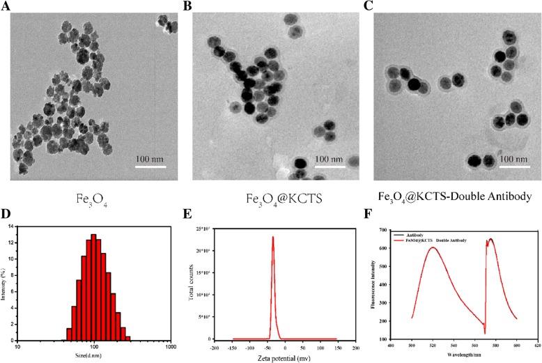 https://cdn.ncbi.nlm.nih.gov/pmc/blobs/540e/6616609/bf3547058a09/11671_2019_3049_Fig1_HTML.jpg