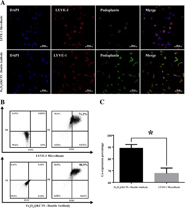 https://cdn.ncbi.nlm.nih.gov/pmc/blobs/540e/6616609/c956ee06d17f/11671_2019_3049_Fig3_HTML.jpg