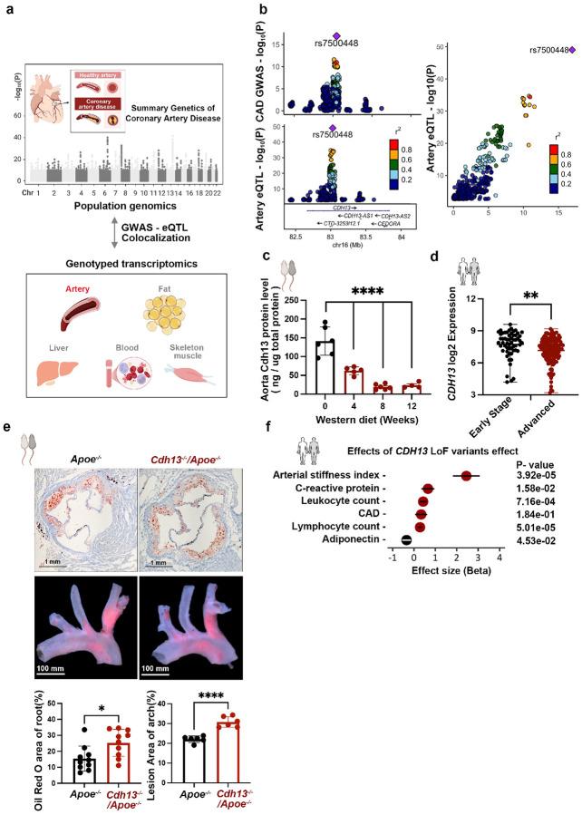 https://cdn.ncbi.nlm.nih.gov/pmc/blobs/5410/12393607/1b807ea226b6/nihpp-rs7333062v1-f0001.jpg