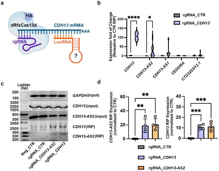 https://cdn.ncbi.nlm.nih.gov/pmc/blobs/5410/12393607/9e9be4964081/nihpp-rs7333062v1-f0003.jpg