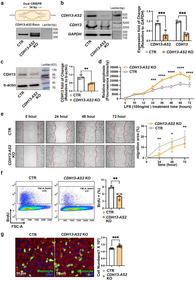 https://cdn.ncbi.nlm.nih.gov/pmc/blobs/5410/12393607/a3d66753b33f/nihpp-rs7333062v1-f0004.jpg
