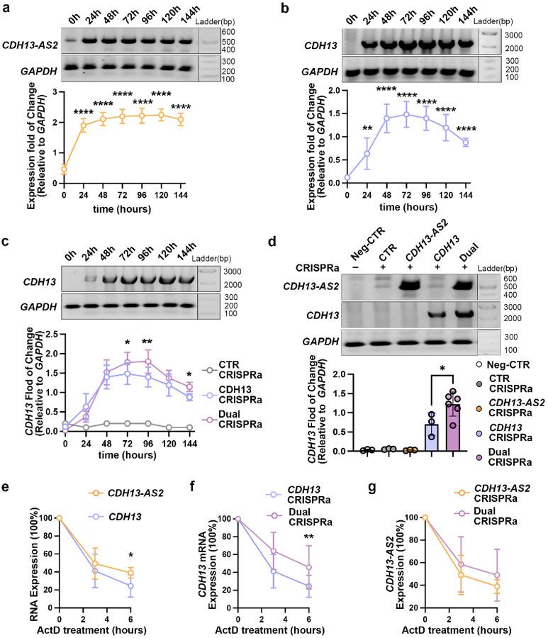https://cdn.ncbi.nlm.nih.gov/pmc/blobs/5410/12393607/c0fd72150c55/nihpp-rs7333062v1-f0006.jpg