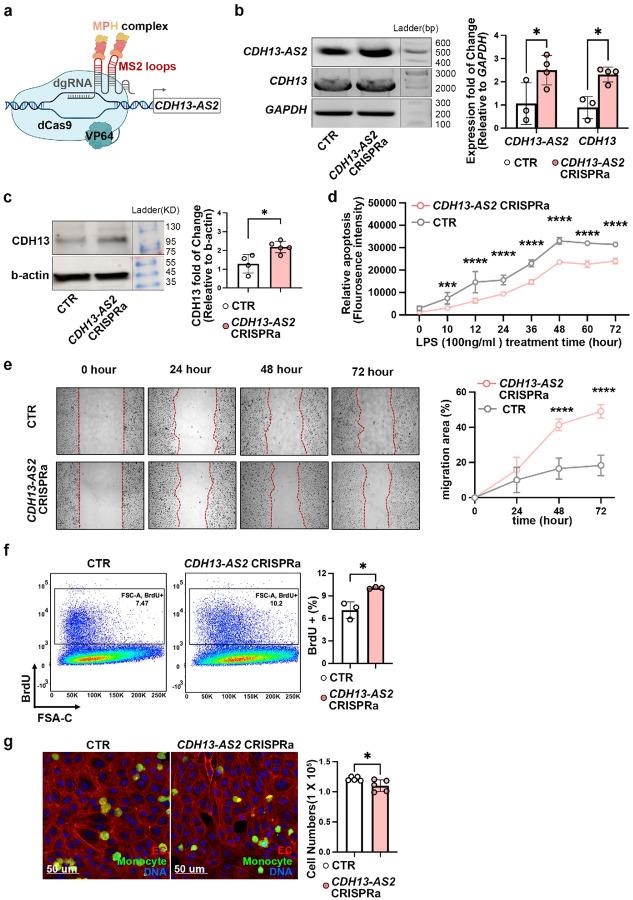 https://cdn.ncbi.nlm.nih.gov/pmc/blobs/5410/12393607/ff2bccd84e06/nihpp-rs7333062v1-f0005.jpg