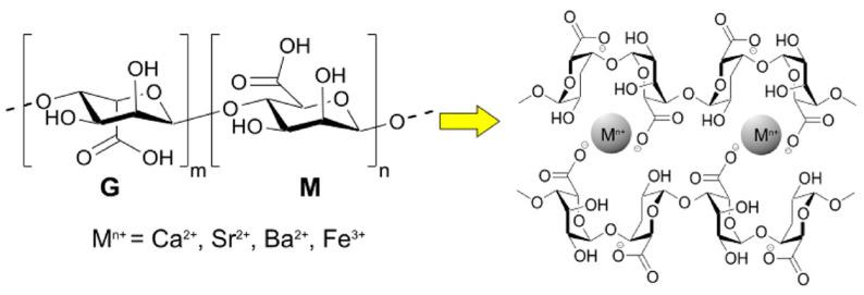 https://cdn.ncbi.nlm.nih.gov/pmc/blobs/5410/7956345/ced67bf1a9e6/materials-14-01095-g002.jpg