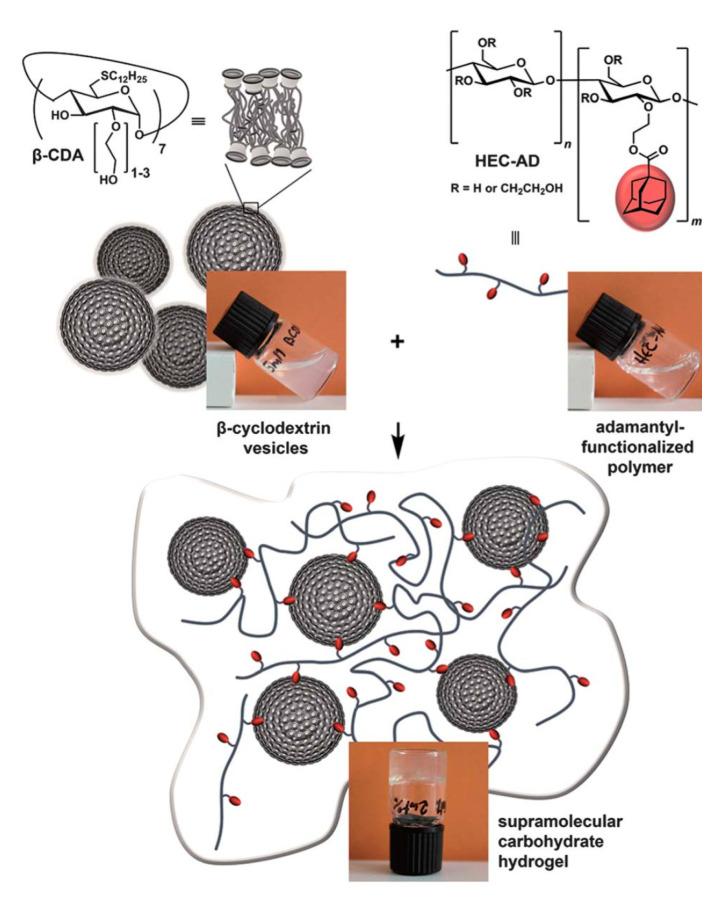 https://cdn.ncbi.nlm.nih.gov/pmc/blobs/5410/7956345/e169ec181126/materials-14-01095-g004.jpg