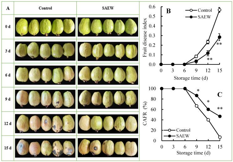 https://cdn.ncbi.nlm.nih.gov/pmc/blobs/5411/11640473/e5bdabbe8e2c/foods-13-03850-g001.jpg