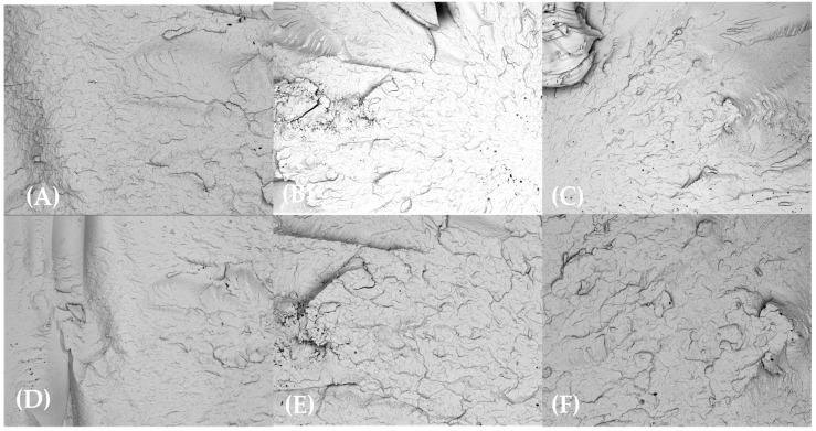 https://cdn.ncbi.nlm.nih.gov/pmc/blobs/5411/12072750/29052eec52ae/materials-18-02085-g007.jpg