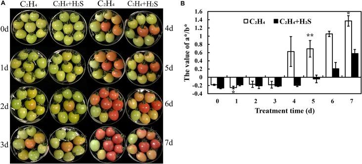 https://cdn.ncbi.nlm.nih.gov/pmc/blobs/5413/7240128/21ca0e0ffafe/fpls-11-00584-g001.jpg