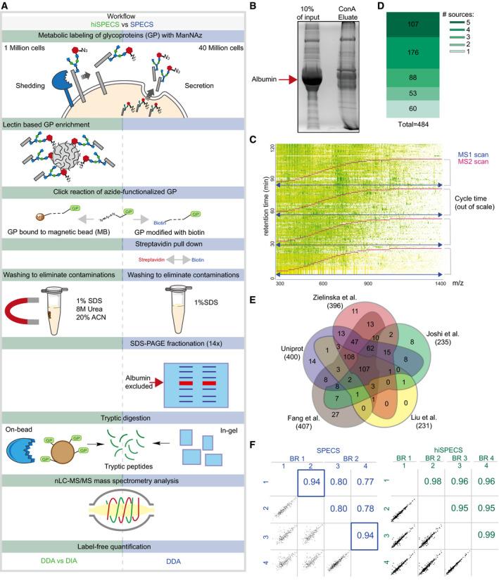 https://cdn.ncbi.nlm.nih.gov/pmc/blobs/5414/7560198/1e996eb4b6f3/EMBJ-39-e105693-g003.jpg