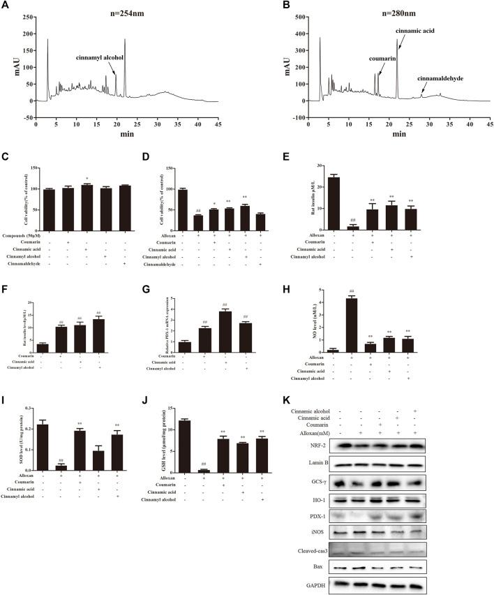 https://cdn.ncbi.nlm.nih.gov/pmc/blobs/5415/10025376/e649d4769cc2/fphar-14-1111860-g005.jpg