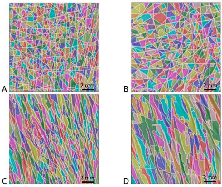 https://cdn.ncbi.nlm.nih.gov/pmc/blobs/5416/10741173/78654ac7b45b/bioengineering-10-01338-g005.jpg