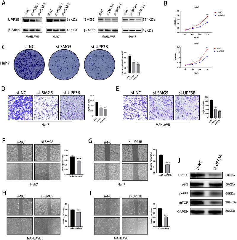 https://cdn.ncbi.nlm.nih.gov/pmc/blobs/5416/11055534/394804a798eb/JHC-11-747-g0008.jpg